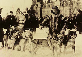 Photo courtesy of The Seppala Siberian Sleddog Project http://www.seppalasleddogs.com and Siberian Husky Archive (Mrs. Elsie Chadwick)